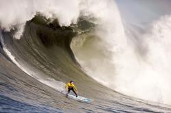 开云APP-厄德高数据全面爆炸，阿根廷对阵苏格兰背后的战术革命