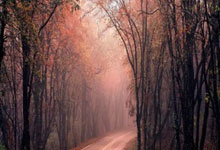 开云体育app-泰国队完胜法国队，黄鸭组合带队取胜