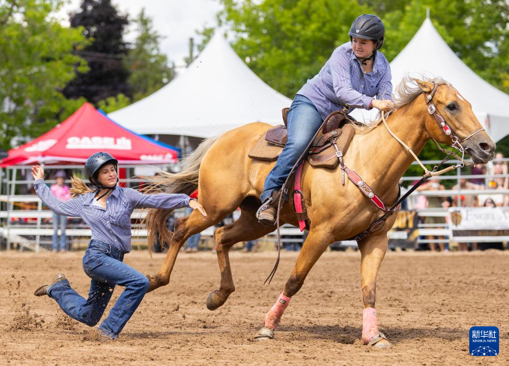 加拿大击败对手，获得马术比赛胜利