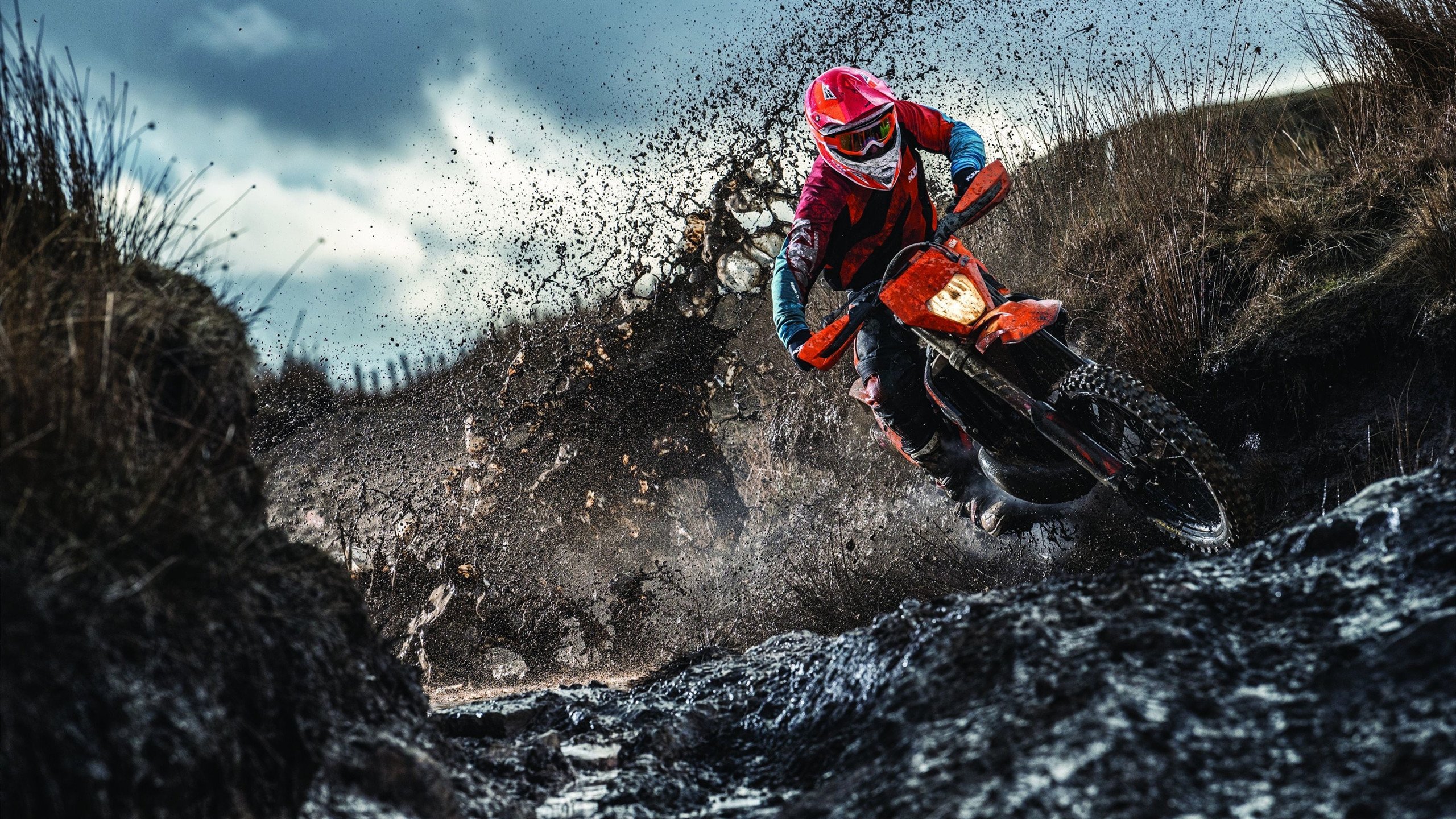 森林狼撕裂黄蜂防线，米切尔节奏完全掌控，攻防一体的指挥官